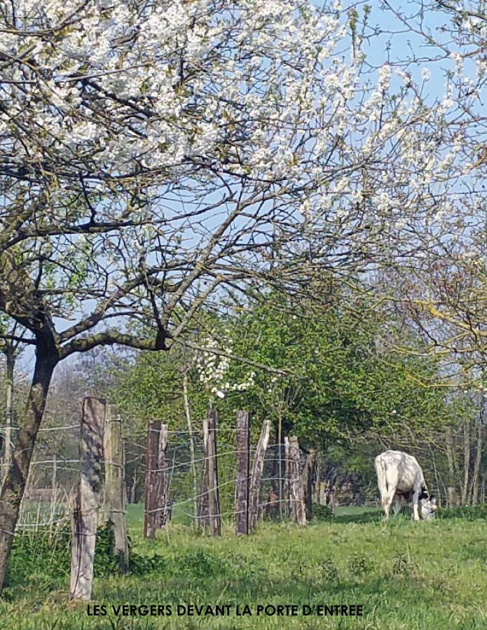 La Cense Pierrot Des Princes Saint-Amand-les-Eaux Zewnętrze zdjęcie